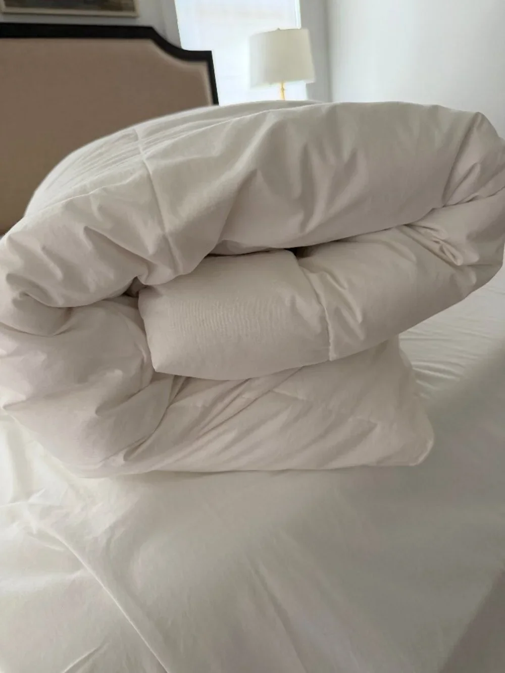 Company Store LoftAIRE Down Alternative Light Warmth Comforter, White, King